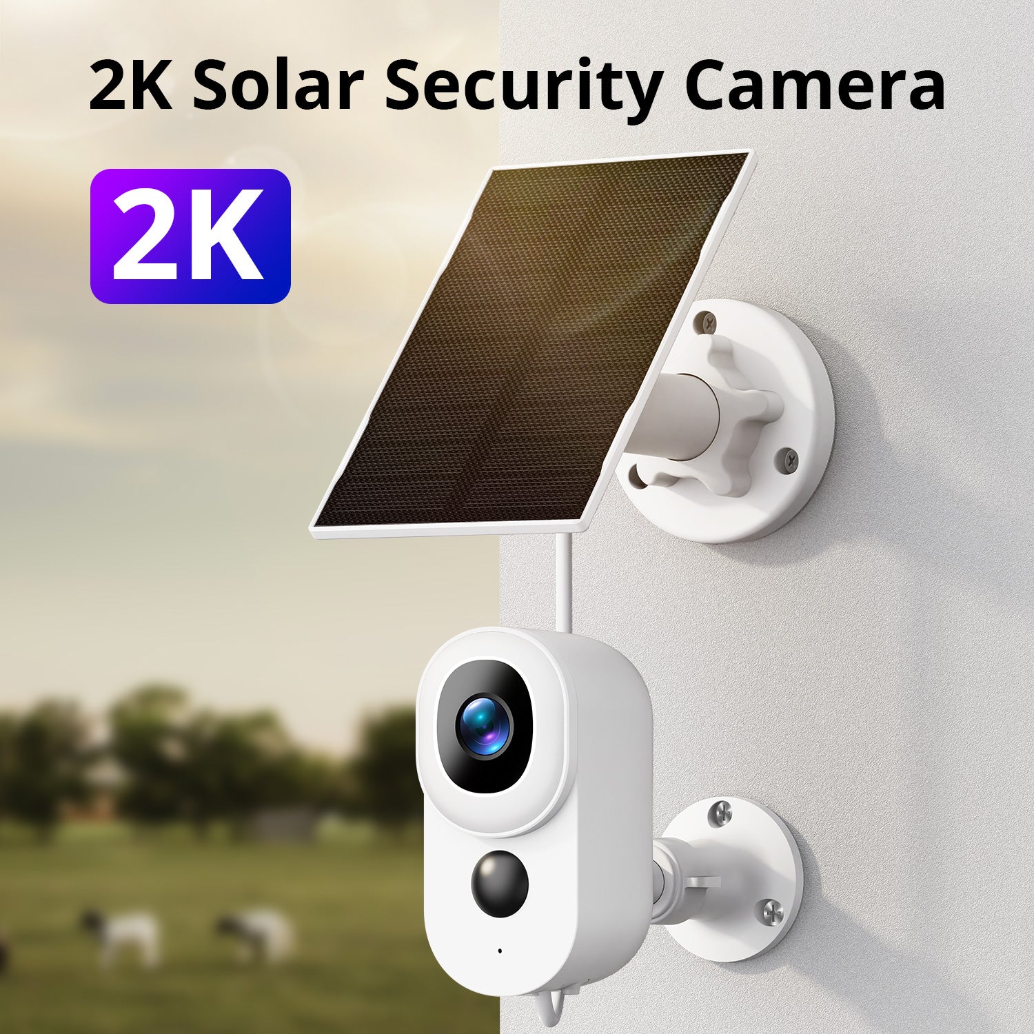 Botslab Outdoor Wireless Security Camera C203